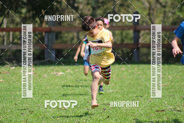Buy your photos of the event3 DESAFIO 2019 CORRIDA DE MONTANHA on Fotop
