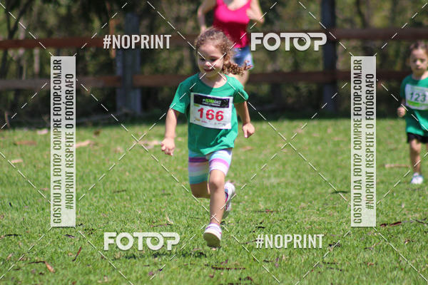 Buy your photos of the event3 DESAFIO 2019 CORRIDA DE MONTANHA on Fotop