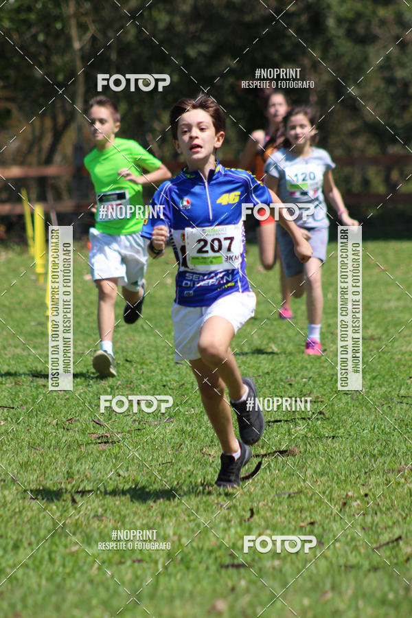 Buy your photos of the event3 DESAFIO 2019 CORRIDA DE MONTANHA on Fotop