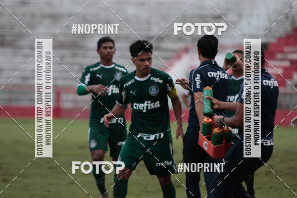 Buy your photos of the eventN�UTICO X PALMEIRAS - COPA DO BRASIL SUB17 on Fotop