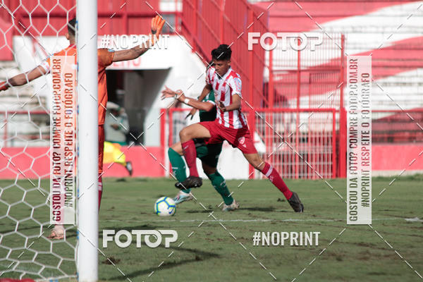 Buy your photos of the eventN�UTICO X PALMEIRAS - COPA DO BRASIL SUB17 on Fotop