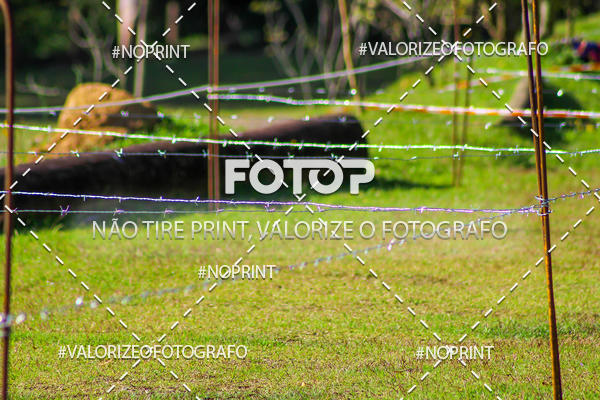 Compre as suas fotos do eventoEstancia Sport Festival no Fotop