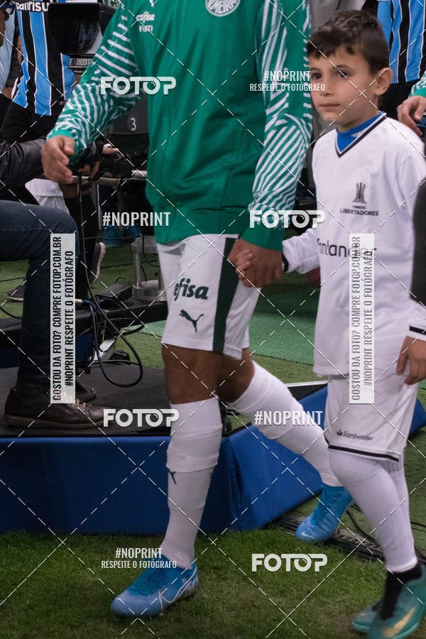 Buy your photos of the eventGrmio x Palmeiras on Fotop