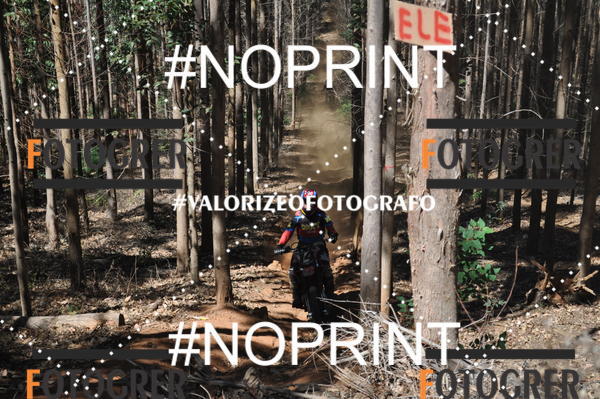 Buy your photos of the event11 Trilho dos Aloprados de Aucena on Fotop