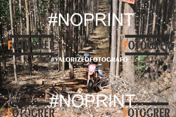 Buy your photos of the event11 Trilho dos Aloprados de Aucena on Fotop