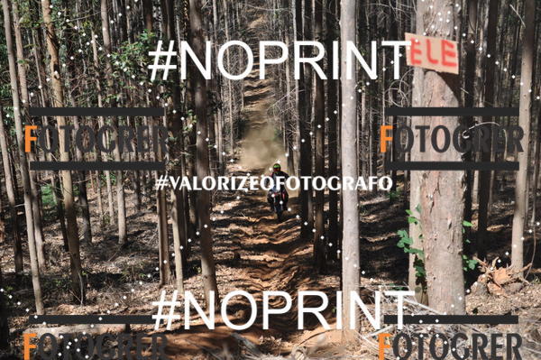 Buy your photos of the event11 Trilho dos Aloprados de Aucena on Fotop