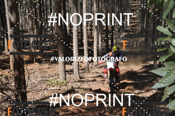 Buy your photos of the event11 Trilho dos Aloprados de Aucena on Fotop