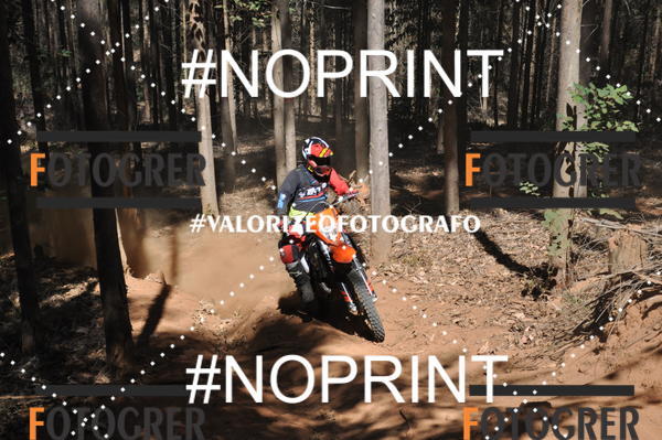 Buy your photos of the event11 Trilho dos Aloprados de Aucena on Fotop