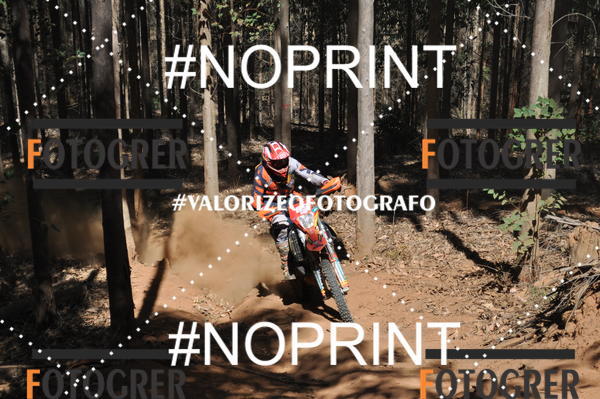 Buy your photos of the event11 Trilho dos Aloprados de Aucena on Fotop