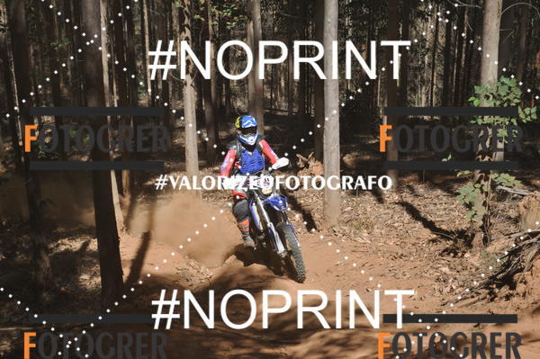 Buy your photos of the event11 Trilho dos Aloprados de Aucena on Fotop