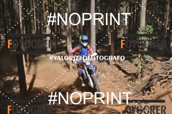 Buy your photos of the event11 Trilho dos Aloprados de Aucena on Fotop