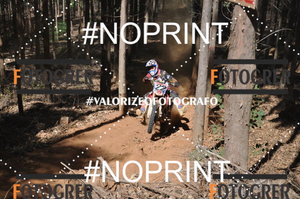 Buy your photos of the event11 Trilho dos Aloprados de Aucena on Fotop