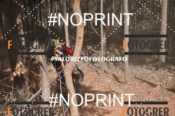 Buy your photos of the event11 Trilho dos Aloprados de Aucena on Fotop