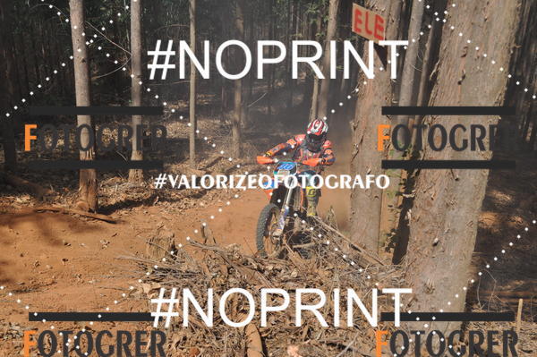 Buy your photos of the event11 Trilho dos Aloprados de Aucena on Fotop