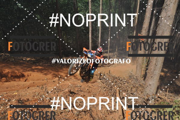 Buy your photos of the event11 Trilho dos Aloprados de Aucena on Fotop