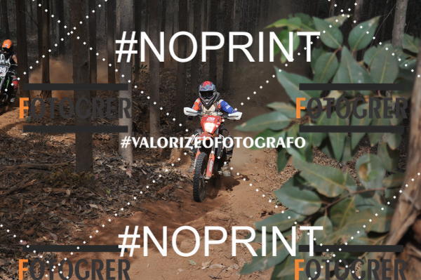 Buy your photos of the event11 Trilho dos Aloprados de Aucena on Fotop