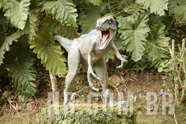 Buy your photos of the eventNR1 - English & Action - 18 a 21/09/18 on Fotop