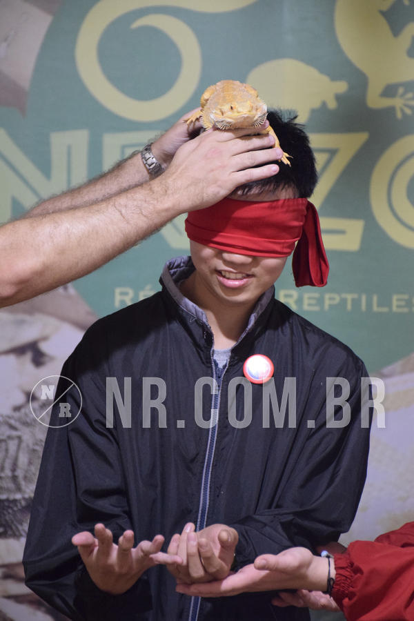 Buy your photos of the eventNR1 - English & Action - 18 a 21/09/18 on Fotop