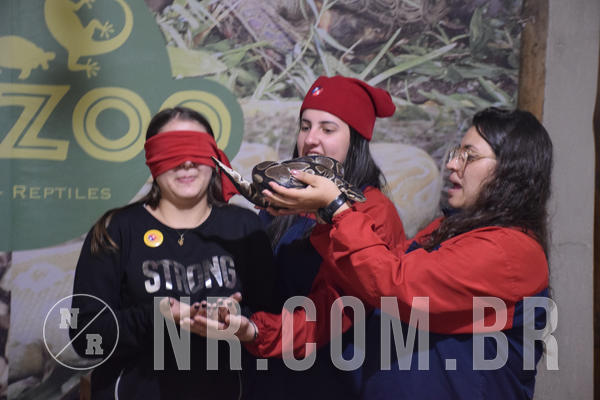 Buy your photos of the eventNR1 - English & Action - 18 a 21/09/18 on Fotop