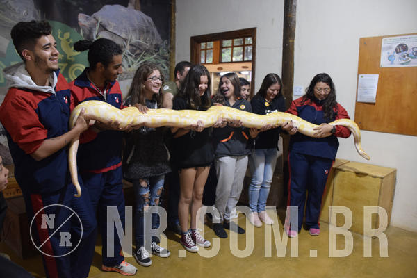 Buy your photos of the eventNR1 - English & Action - 18 a 21/09/18 on Fotop