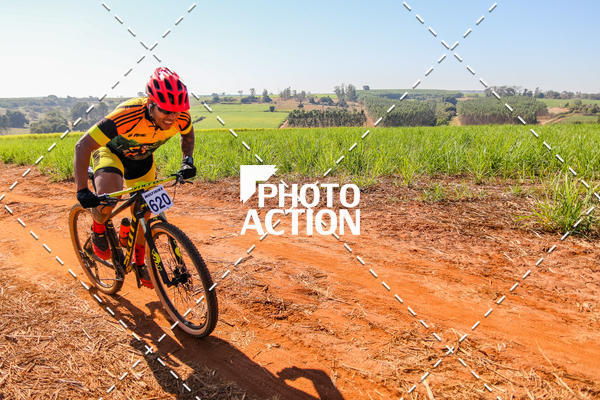 Buy your photos of the eventEtapa Final - ALIGA on Fotop