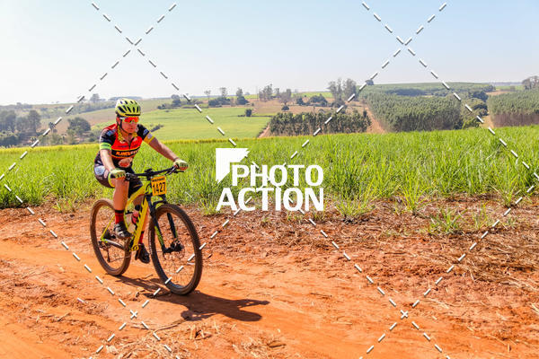 Buy your photos of the eventEtapa Final - ALIGA on Fotop