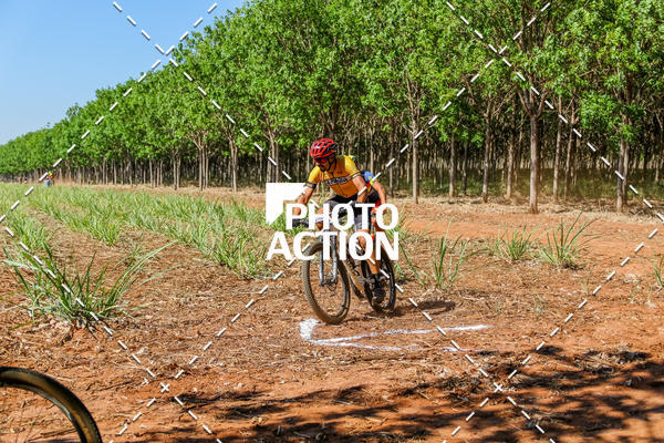 Buy your photos of the eventEtapa Final - ALIGA on Fotop