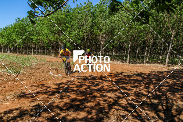 Buy your photos of the eventEtapa Final - ALIGA on Fotop