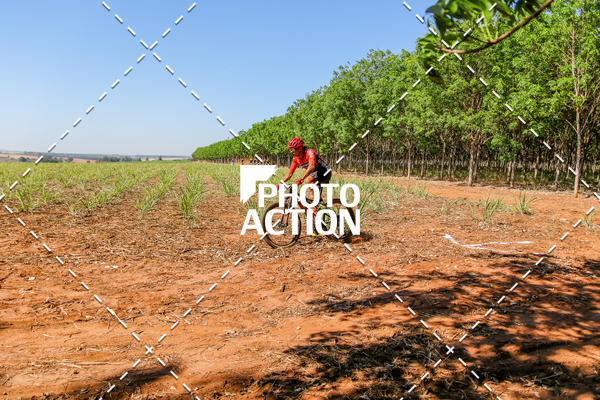 Buy your photos of the eventEtapa Final - ALIGA on Fotop