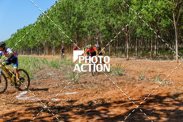 Buy your photos of the eventEtapa Final - ALIGA on Fotop