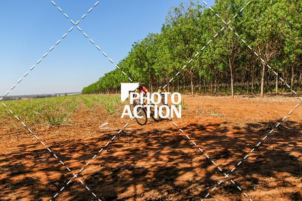 Buy your photos of the eventEtapa Final - ALIGA on Fotop