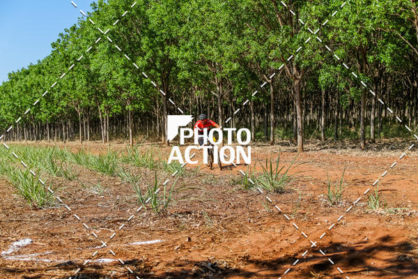 Buy your photos of the eventEtapa Final - ALIGA on Fotop