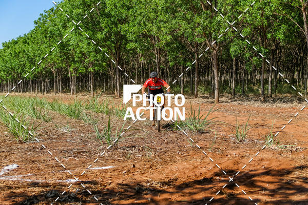 Buy your photos of the eventEtapa Final - ALIGA on Fotop