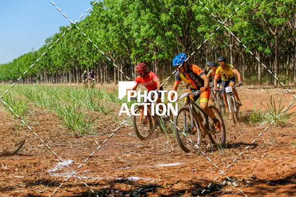 Buy your photos of the eventEtapa Final - ALIGA on Fotop