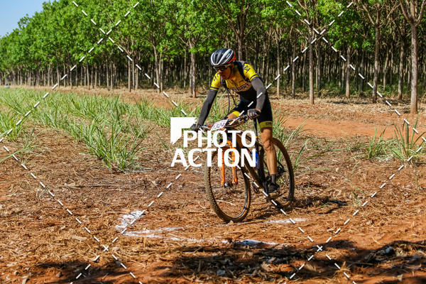 Buy your photos of the eventEtapa Final - ALIGA on Fotop