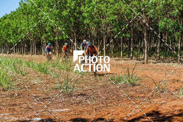 Buy your photos of the eventEtapa Final - ALIGA on Fotop