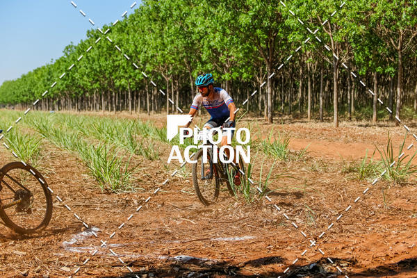 Buy your photos of the eventEtapa Final - ALIGA on Fotop