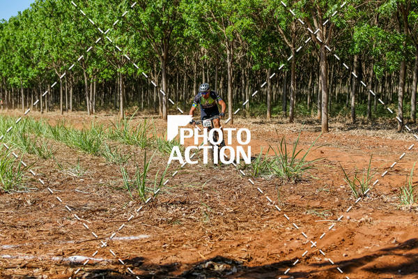 Buy your photos of the eventEtapa Final - ALIGA on Fotop