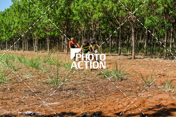 Buy your photos of the eventEtapa Final - ALIGA on Fotop