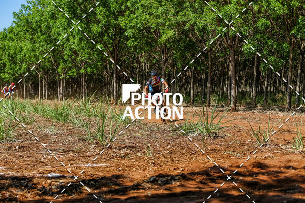 Buy your photos of the eventEtapa Final - ALIGA on Fotop