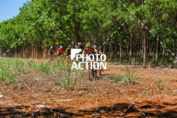 Buy your photos of the eventEtapa Final - ALIGA on Fotop