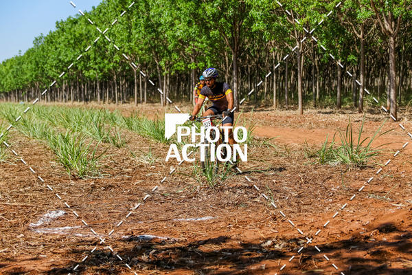 Buy your photos of the eventEtapa Final - ALIGA on Fotop