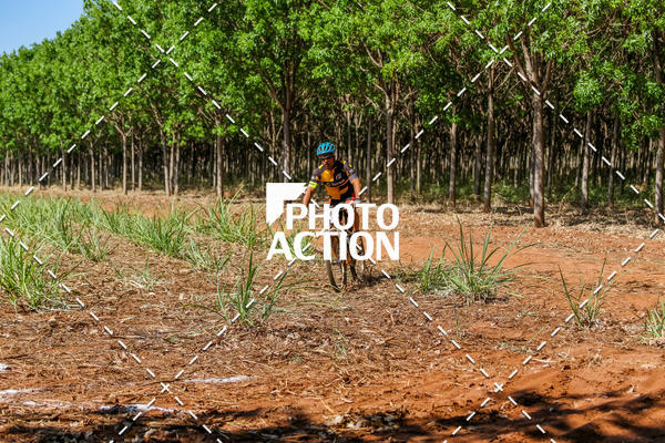 Buy your photos of the eventEtapa Final - ALIGA on Fotop