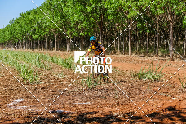 Buy your photos of the eventEtapa Final - ALIGA on Fotop