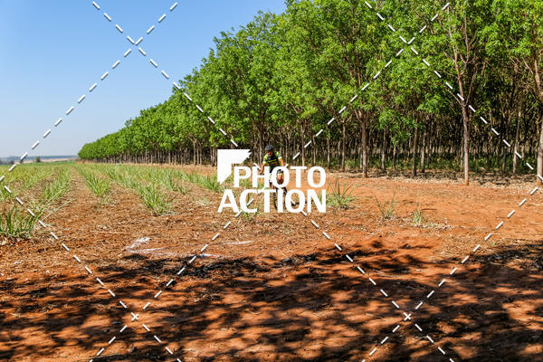 Buy your photos of the eventEtapa Final - ALIGA on Fotop