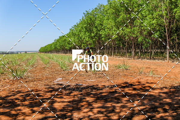 Buy your photos of the eventEtapa Final - ALIGA on Fotop