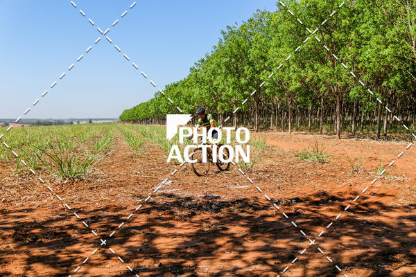 Buy your photos of the eventEtapa Final - ALIGA on Fotop