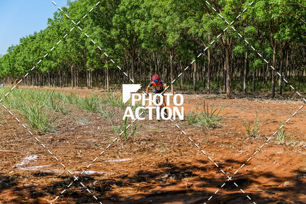 Buy your photos of the eventEtapa Final - ALIGA on Fotop