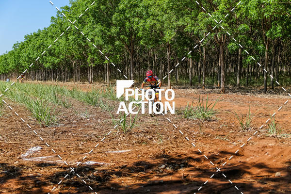 Buy your photos of the eventEtapa Final - ALIGA on Fotop