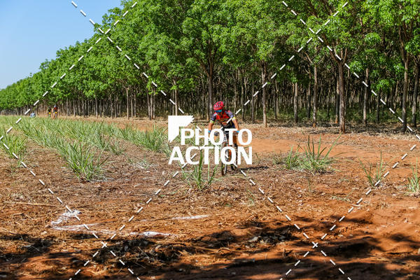 Buy your photos of the eventEtapa Final - ALIGA on Fotop